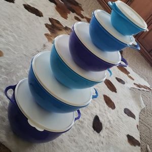 Set of 6 Tupperware bowls with lids
